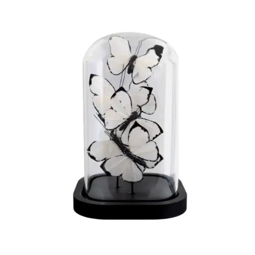 White Butterfly In A Glass Cloche